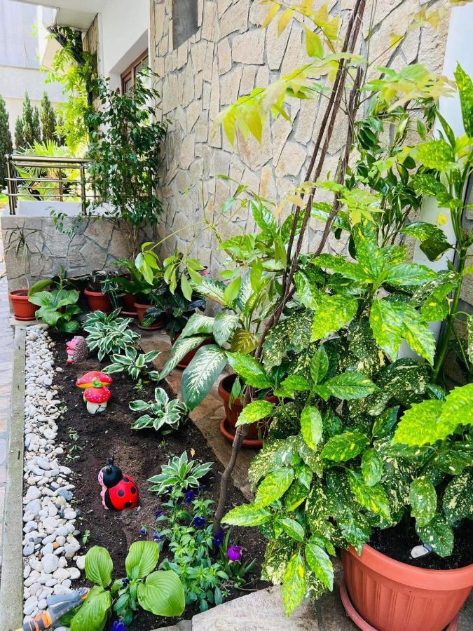 Джорджия Otel Naousa Dış mekan fotoğraf